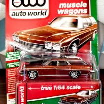 Buick Estate Wagon 1974 Muscle Wagon